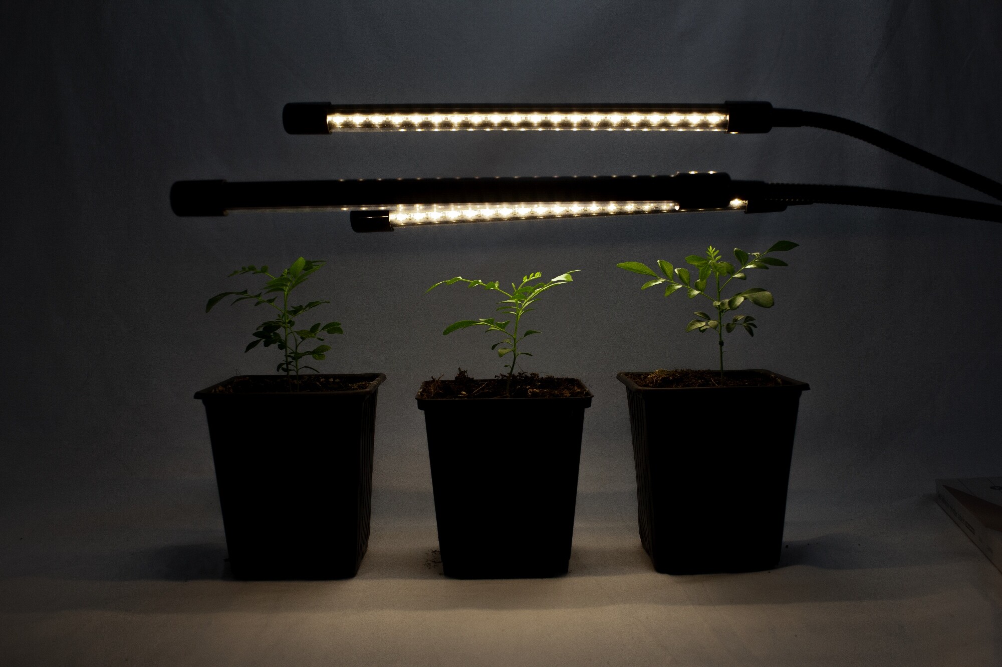 Lampe de Plante, Lampe de Croissance pour Plantes LED Plante Lampe  Horticole Parfait pour Plantes Intérieur （